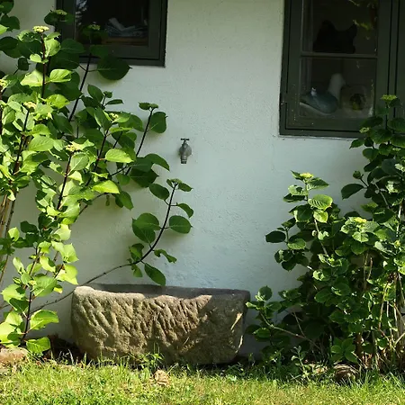 Haus Quitte Tatil Evi Kühlungsborn