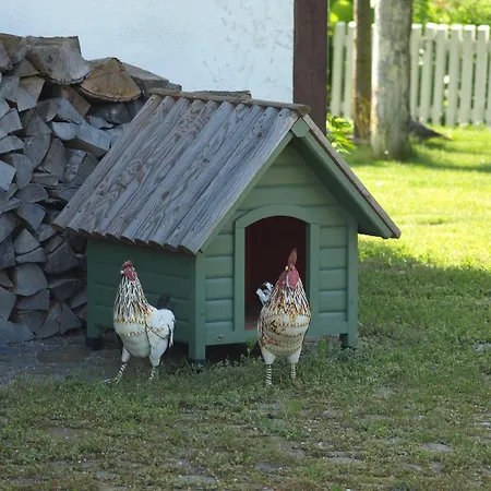 Haus Quitte Tatil Evi *