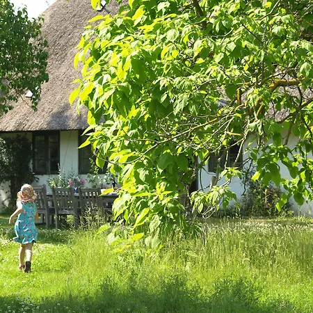 Tatil Evi Haus Quitte Kühlungsborn